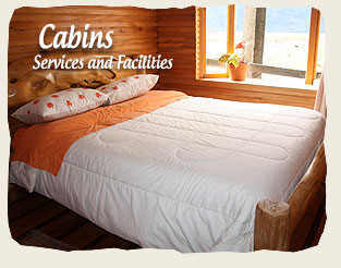 The Cabins